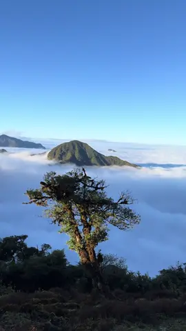 Chuyến trip đỉnh núi khó thứ 3 Việt Nam 🇻🇳 rụng rời cả đôi chân  #kyquansan #bachmocluongtu #trip #leonui 