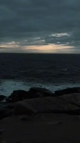 #LIVEIncentiveProgram #SpareMomentsLIVE #PaidPartnership 