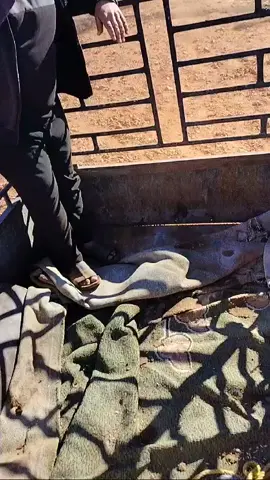 #القبه_درنه_عين_ماره_البيضاء_طبرق_بنغازي #ليبيا #ليبيا_طرابلس_مصر_تونس_المغرب_الخليج #ليبيا🇱🇾 #ليبيا_طرابلس🇱🇾🇱🇾🇱🇾 