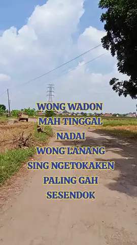 pengen ketemu #tarling_indramayu_cirebon 