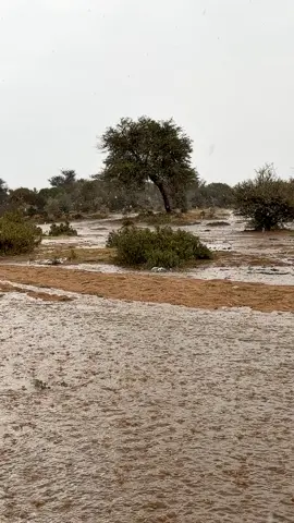 امطار الطائف اليوم الرميدة #الوسم #الطايف_الان #تصويري #اكسبلور 