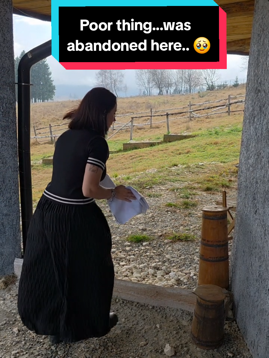 Why are people so cruel? 🥹 #meme #abandoned #funnyvideo #wine #poorthing 