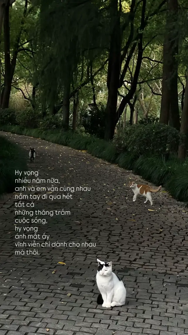 #tinhyeu #xh #wisiin 