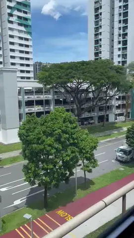 #fypシ゚viral🖤tiktok☆♡🦋myvideo 