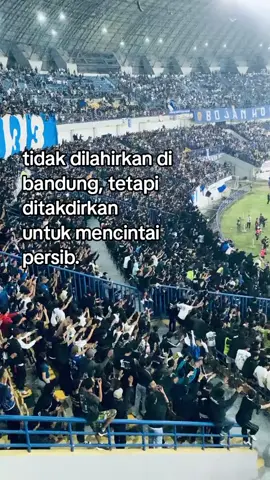 persib mah bahasa hate🩵🫂 #persibbandung #persibjuara #fyp #persibday #persibbandung 