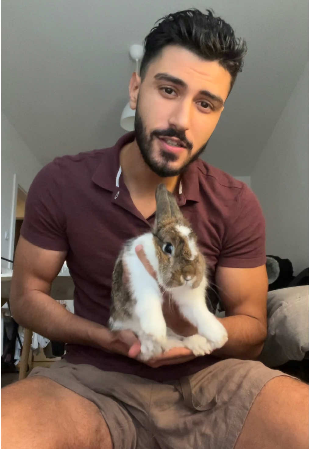 Fun fact: bunnies can jump up to 90cm if they want to 