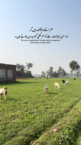 LINES ❤️‍🩹 #fyp #villagevibes #videography #unfrezzmyaccount #growmyaccount 