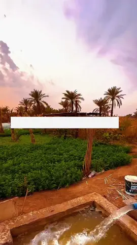 الْحَمْدُ لِلَّهِ عَدَدَ خَلْقِهِ، وَرِضَا نَفْسِهِ، وَزِنَةَ عَرْشِهِ، وَمِدَادَ كَلِمَاتِهِ. الْحَمْدُ لِلَّهِ حَمْدًا كَثِيرًا طَيِّبًا مُبَارَكًا فِيهِ. الْحَمْدُ لِلَّهِ مِلْءَ السَّمَاوَاتِ وَمِلْءَ الْأَرَضِينَ وَمِلْءَ مَا شِئْتَ مِنْ شَيْءٍ بَعْدُ. الْحَمْدُ لِلَّهِ حَمْدًا لَا يُحْصَى 🩷 #foryou #fyp #fypシ #viral 