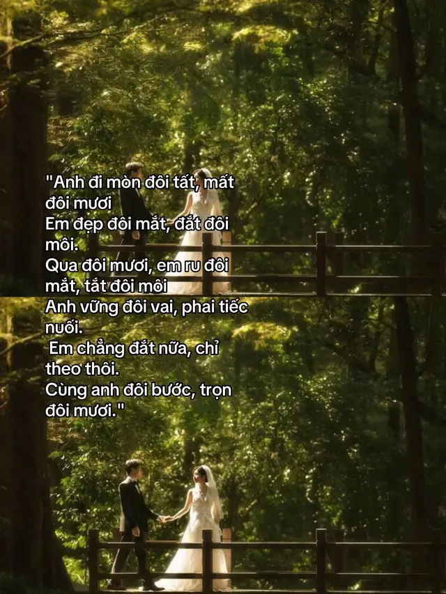 #xh #xuhuongtiktok #viral 