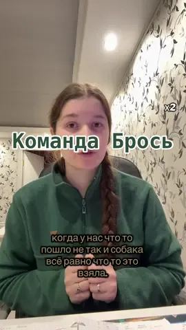 #дрессировкасобак #обучениесобак #кинолог #кинологонлайн 