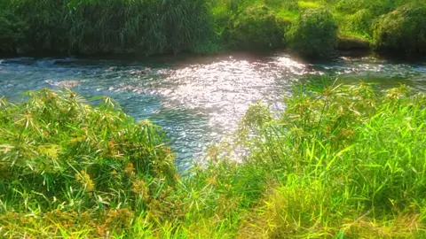 Những kí ức đẹp ùa về ❤️