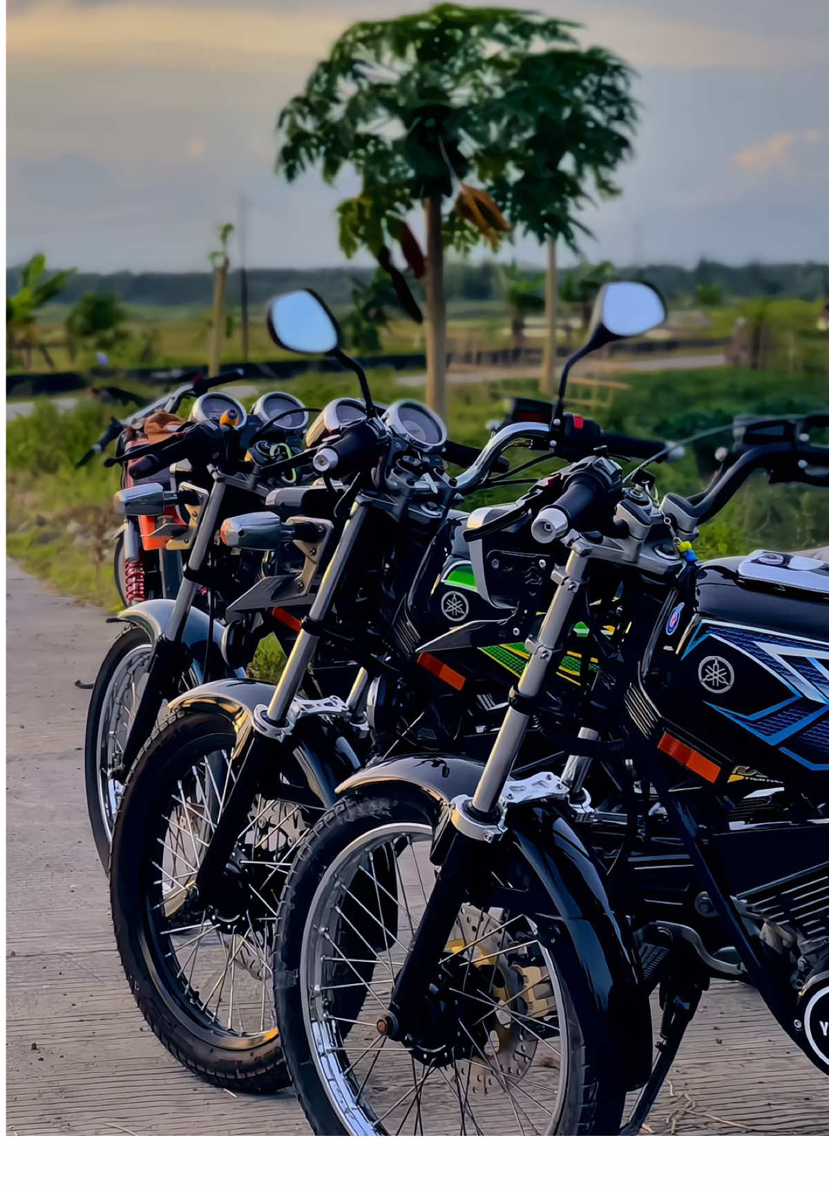 #rxkingindonesia #yrki_indonesia #yamaharxkingindonesia #2stroke #f 