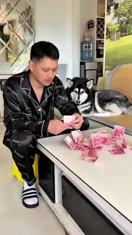 #funny #funnyvideos #dog 