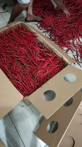 bismillah pengiriman kramat jati semoga amanah tur berkah. amin