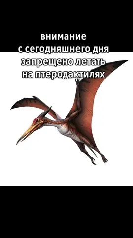 Птеродактиль — это вымершее летающее пресмыкающееся (птерозавр), которое жило в юрском и меловом периодах. Это название также может относиться к роду Pterodactylus, который был первым описанным птерозавром и был обнаружен в Германии.  Классификация: Птеродактили являются летающими рептилиями, но они не динозавры; они относятся к отряду птерозавров. Крылья: Их крылья состояли из кожисто-мышечной перепонки, которая крепилась к очень длинному четвертому пальцу передней конечности и простиралась до задних лап. Диета: Птеродактили были хищниками. Они питались рыбой и мелкими наземными животными. Размер: Размеры птеродактилей сильно варьировались: от мелких, размером с воробья, до гигантских видов с размахом крыльев до 12 метров и более. Значение названия: Название «птеродактиль» происходит от греческих слов «pterón» (крыло) и «dáktylos» (палец), что означает «крылатый палец». 
