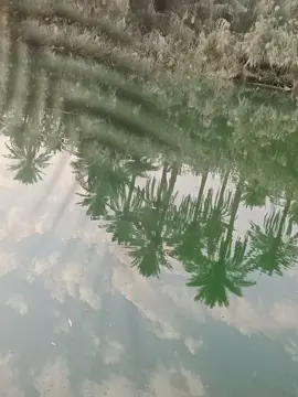 #طربيات_الزمن_الجميل_🎼🎶🎻♥️🌹 #اغاني #موالات_حزينة_عراقية💔 #مواويل_عراقية_حزينه💔 #طربيات 