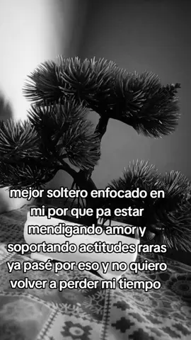 Suerte y por la sombrita!