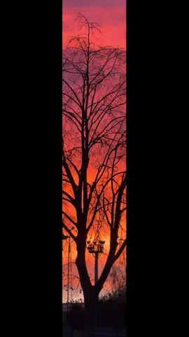 #louanne #maman #louanefans 