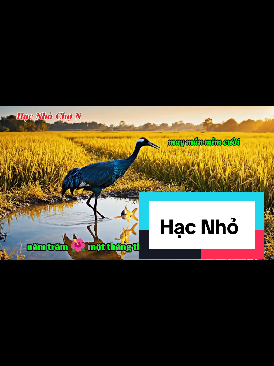 Trả lời @antinh26377 nhân duyên nghìn lối. gặp được nhau là may mắn rồi #xh #ilovetiktok #giaitri #giaitritiktok #xuhuong 