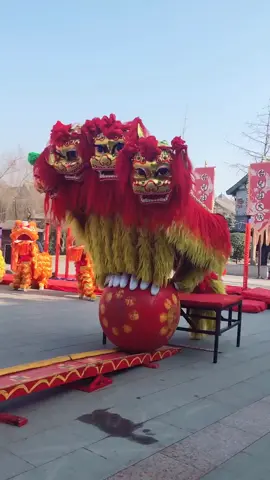 #เชิดสิงโต 