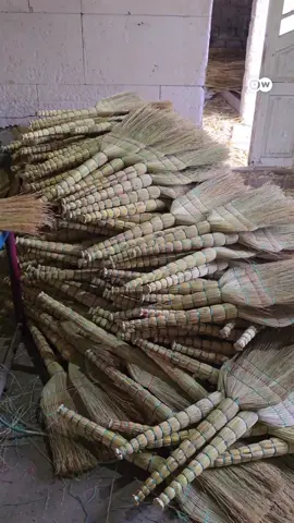 🧹 În Caracuşenii Vechi se fac zilnic sute de mături. 🌾 90% dintre localnici cultivă mălai și împletesc mături, o tradiție transmisă din familie. 🏡 Un sat întreg crescut în jurul unui meșteșug. #traditional #moldova #romania #europe #fyp 