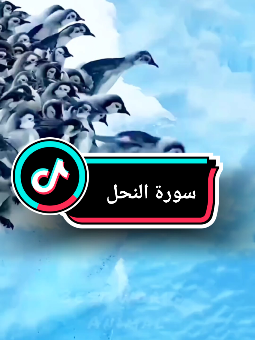 {وَلَوْ يُؤَاخِذُ اللَّهُ النَّاسَ بِظُلْمِهِم}#سورة_النحل #صلاح_بو_خاطر #الله #قران_كريم #القران_الكريم 