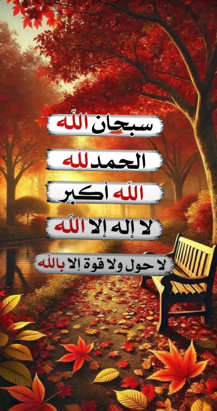 #fyp #fypage #اكسبلورexplore 