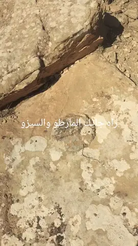 #كنوز_ودفائن_القدماء #تاريخنا_العظيم #اثار #رومانية #كنز 