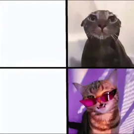 #18dart5 #r34 #18dart1 #panzy #dragonballdaima 