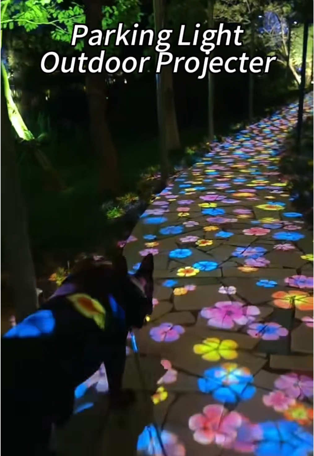 Take the dog for a walk in the park.#outdoor #projecter #ImmersiveTech #lightingshow #laserlighting 