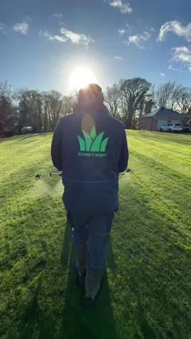 Working smarter not harder #iGrowCarpet 