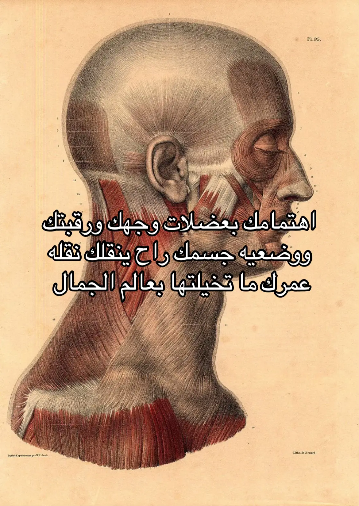 #fyp #looksmaxing #جمال #face #beauty 