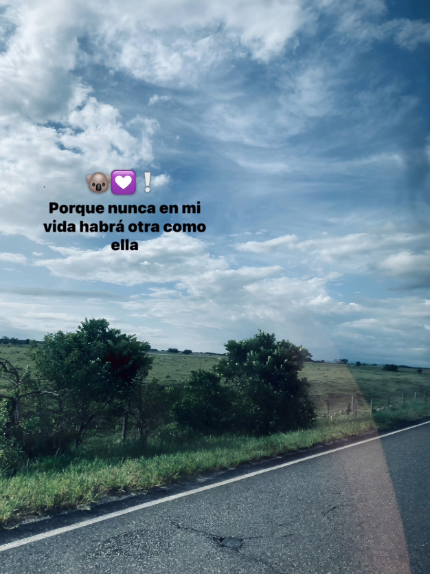 🐨💟❕  #paratii #viraltiktok #xybca #fypシ゚ #reels 