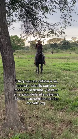 Más nada vieja #parati#contenido #caballos