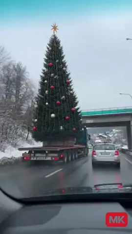 cade! #brad #craciun #christmas 