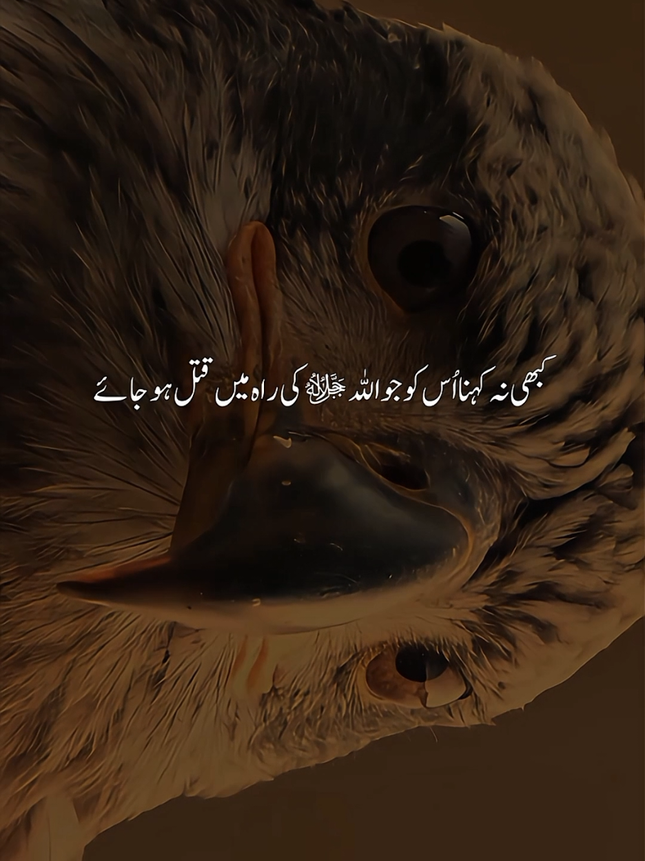 اے اہل ایمان مدد حاصل کرو صبر سے اور نماز سے  | Dr Israr Ahmed | Emotional Clip . . . . #drisrarahmed #dr_israr_ahmed_lectures #dr_israr_ahmed #drisrarahmedsahab #ummatti     