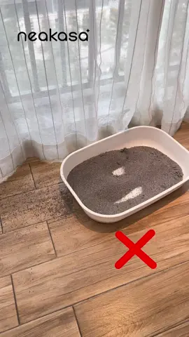 Kickstart your day with a touch, our fully automatic litter box makes American leisure happen right from dawn& top entry litter box #CatProducts #cat#catlitterbox #Petproducts #couple #neakasa #NeakasaM1 #CatLitterBox #SmartLitterBox #OpenTopLitterBox #LitterRobot 