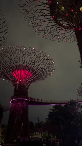 BP’s Lovesick Girl lightshow at Suppertree Grove, Gardens By The Bay. #singapore #blackpink #blink #deadlineworldtour #fyp 