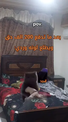 #الشعب_الصيني_ماله_حل😂😂 #مشاهير_مطروح👑🇪🇬 #مطروح_وهلها🔥💪😎 