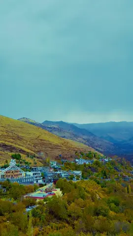 #پێشڕەوهەورامی #نێچیرهەورامی #🍁 #🧡 #بیارە 