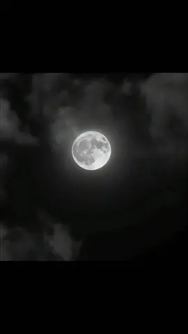 22.04 | fokus saja dengan yang sekarang💫 #ustadzabdulsomad #dakwah #islam #fyp 