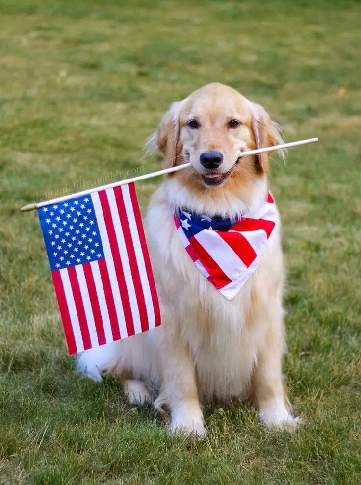 Don't let the fear of losing be greater than the excitement of winning. 👀👀