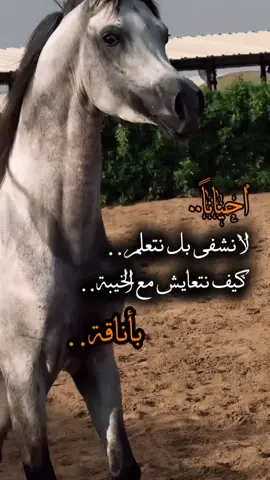 #ستوريات ##تيك_توك #أكسبلورر #فولو #fyp 