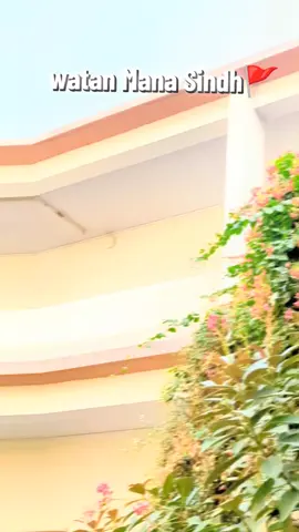 shahid jani #foryou #fyppppppppppppppppppppppp #SALU #LastDays #trending 