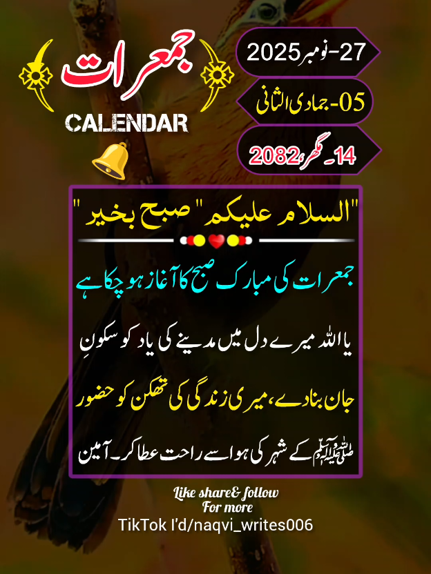 27-Nov-2025) THURSDAY MORNING💫STATUS💫NOTIFICATION🔔 REMINDER  #deartiktokteamdontunderviewmyvideos #status #viral #100klikes #tiktokpakistan 