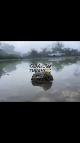 #humortiktok🤣😜😅😂🤪 #apollenmeplis🥺comparte #بطاحين_اولاد_عز💙💙❤️unos 