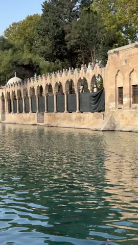 #balikligöl#şanlıurfa16promax@HALİL İMRE 