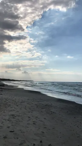 Treachery and betrayal arise from trust. Betrayal never succeeds because when it succeeds we give it another name. Love endures death and distance more than treachery and betrayal. There is no difference between betrayal of conscience and betrayal of reality except execution. He did not fulfill his covenant with her, so she believed that everyone on this earth was betraying. Alexandria I Egypt 