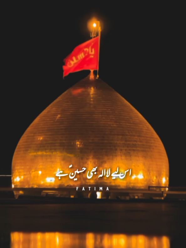 علی ؑوالے #fypシ علیؑ والی # #🙏🏻❤️❤️💖💞🚩🙏🏻 #aliwalayazadar #viraltiktokteamthisvideo #foryoupageofficial