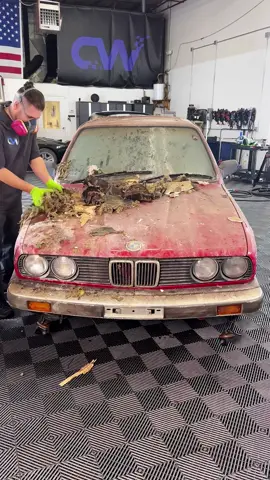 #carwashing #carwash #carcleaning #washing #detailing 